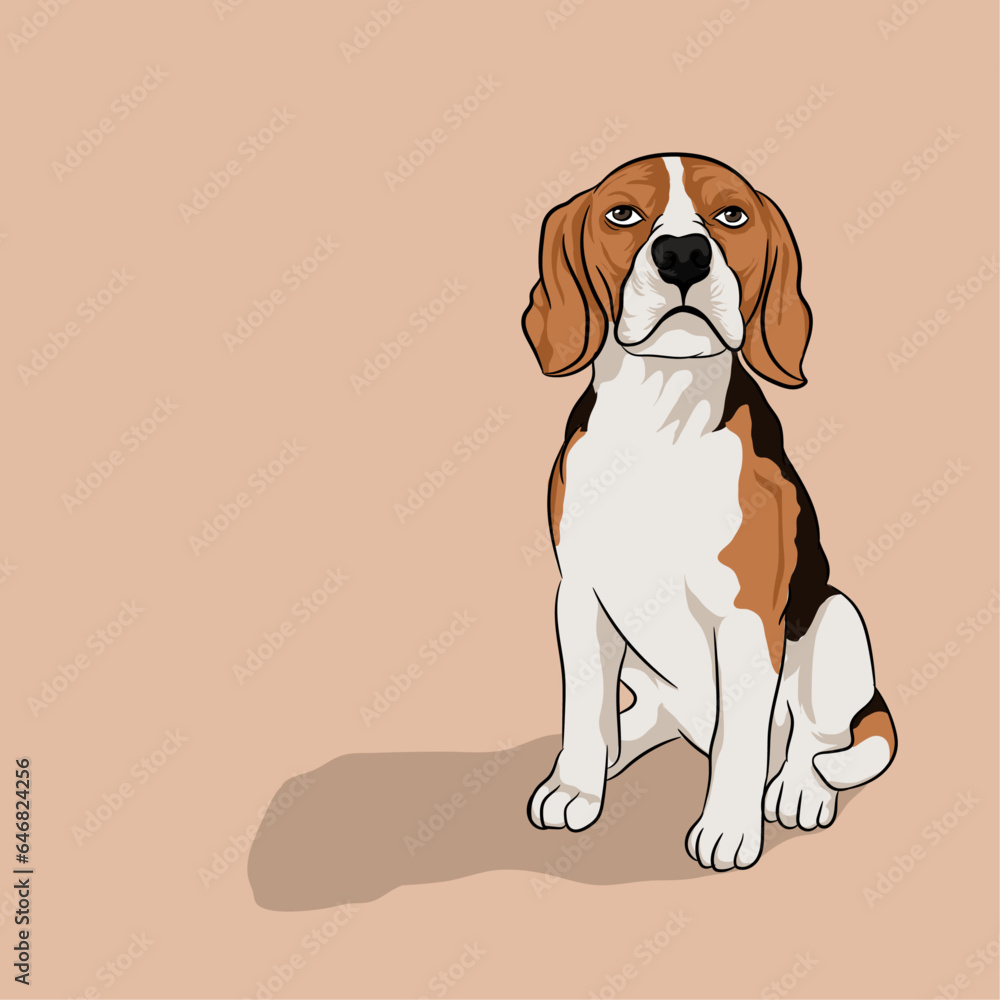 Vector illustration of Beagle dog sitting on ground with shadow. 
