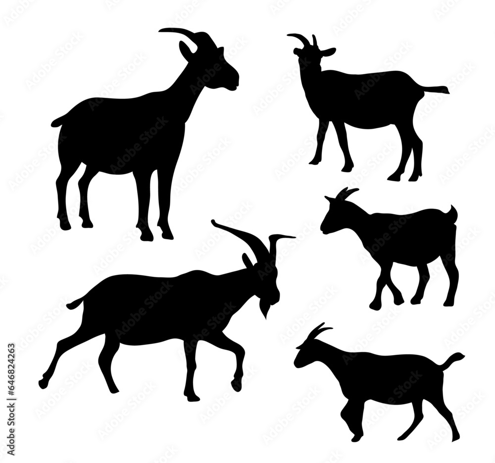 Vector illustration of silhouette Goats in different poses.
