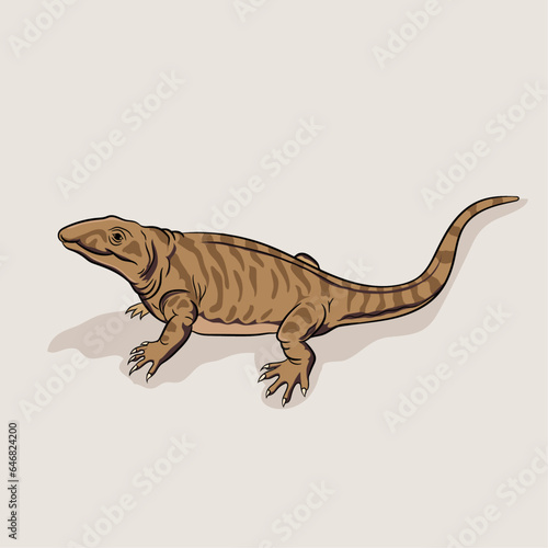 Vector illustration of monitor Lizard with shadow.  © Sushma