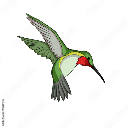 Vector illustration of colorful Ruby-throated Hummingbird in flight.
