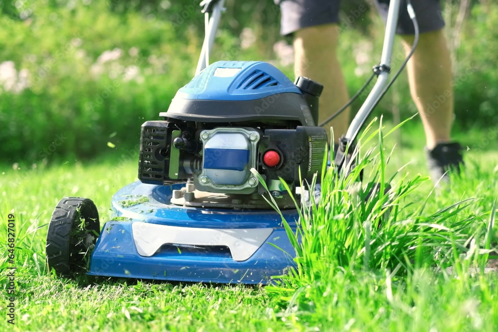 Fototapeta premium Lawn mower cutting grass. Small grass cuttings fly out of lawnmower. Grass clippings get spewed out of a mower pushed around by landscaper. CloseUp. Gardener working with mower machine. Mowing lawns
