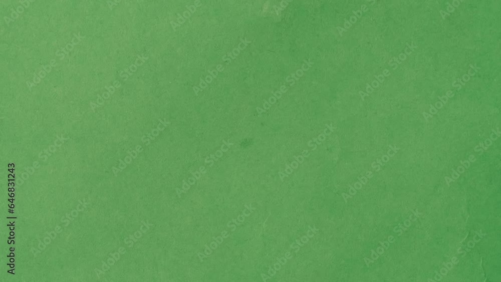 Closeup shot of many dried wheat grains falling from above on the green background. Chroma Key. Closeup shot of many dried wheat grains falling from above on the green background. Chroma Key.