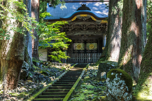 福井 夏の木漏れ日と緑の苔に彩られた永平寺の唐門