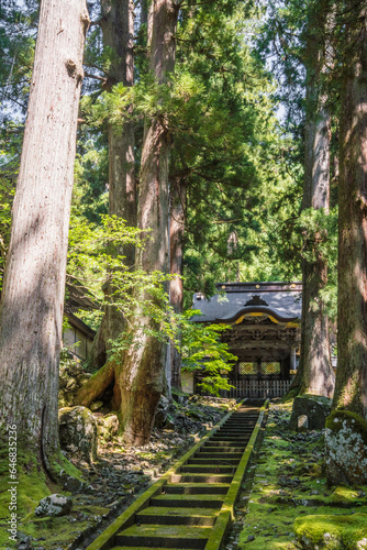 福井 夏の木漏れ日と緑の苔に彩られた永平寺の唐門