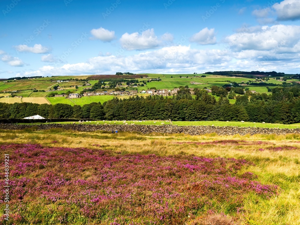 Haworth Moor in late Summer and the views are stunning across the moorland. Billowing clouds complete the scene
