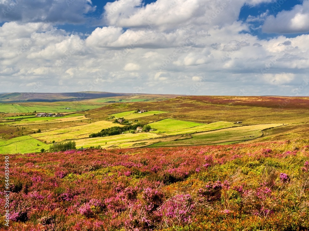 Midgley Moor in Yorkshire and the late summer sun illuminates the far moors