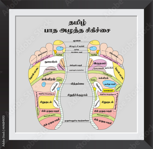 TAMIL FOOT REFLEXOLOGY PRESSURE POINT CHART
