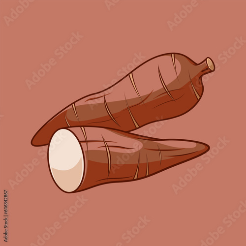 cassava vector illustration
