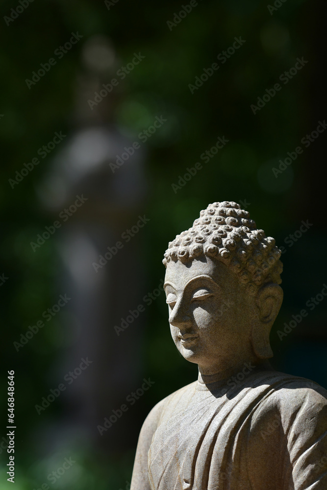 The face of the stone Buddha In the garden of a Buddhist temple
