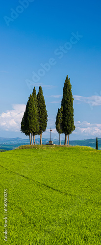 Croce di Prata and cypressess in San Quirico, Val d'Orcia, Tuscany, banner with copyspace