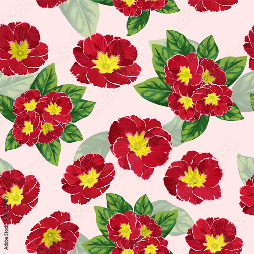 Fototapeta Naklejka Na Ścianę i Meble -  A seamless pattern of primrose flowers. vector illustration.