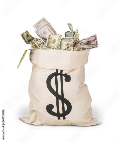 фотографія bag with money
