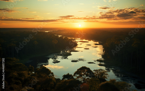 High View of river in morning sun. Forrest Silhouette. Golden hour concept.
