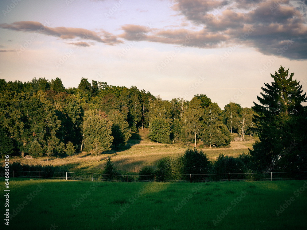 Scenic view of a field during evening