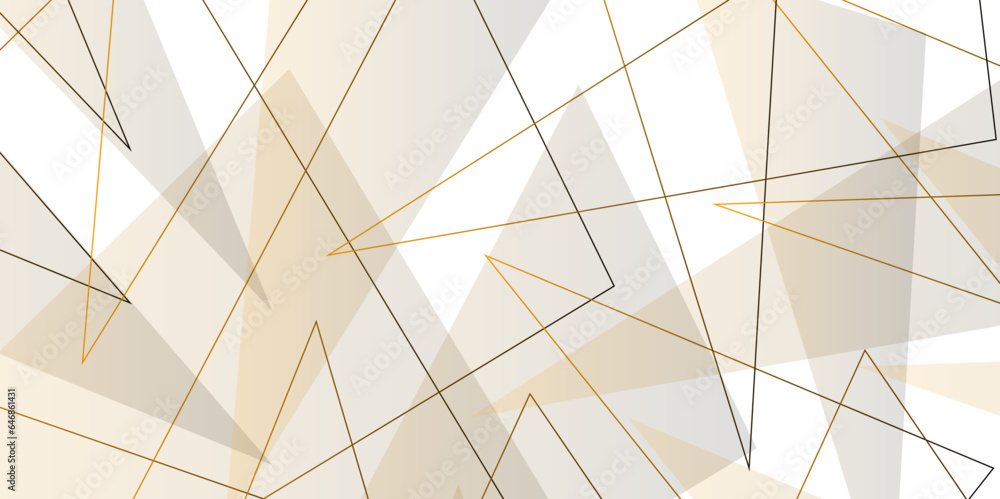 Abstract vector background, more lines and triangular fragments, geometry illustration, white technology Design template for brochures, flyers, magazine, banners etc. Abstract vector background, more lines and triangular fragments, geometry illustration, white technology Design template for brochures, flyers, magazine, banners etc.