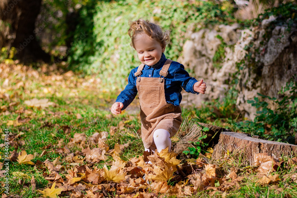 Little positive smiling todler 2 years old, stylish in a blue shirt and brown jumpsuit, walking in an autumn park. Dry leaves rustle. Hiking. Happy childhood. Having fun during stroll Little positive smiling todler 2 years old, stylish in a blue shirt and brown jumpsuit, walking in an autumn park. Dry leaves rustle. Hiking. Happy childhood. Having fun during stroll