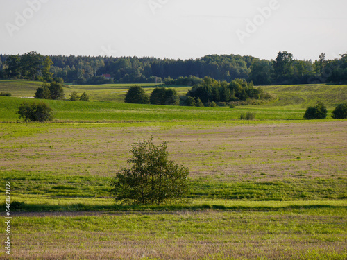 Scenic view of a field