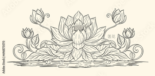Lotus and leaf sketch with fine graceful lines. Isolated flower on beige background. Vintage etching botanical lotus.