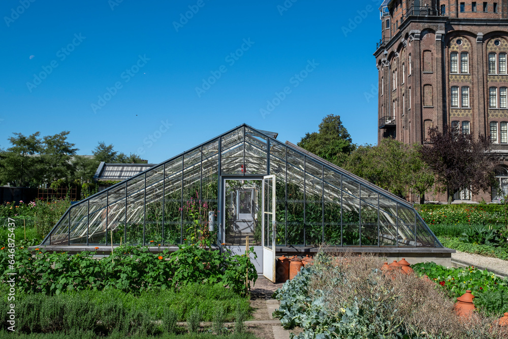 Fototapeta premium a small greenhouse stands in a garden