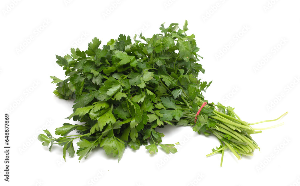 bunch of green parsley on white background bunch of green parsley on white background