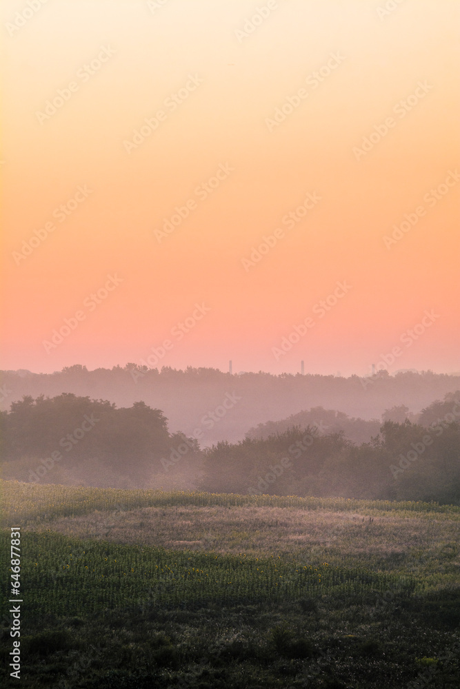fields and hills with tall yellow-green grass and trees, with haze in the distance, against a warm orange sky during dawn, during the golden hour fields and hills with tall yellow-green grass and trees, with haze in the distance, against a warm orange sky during dawn, during the golden hour