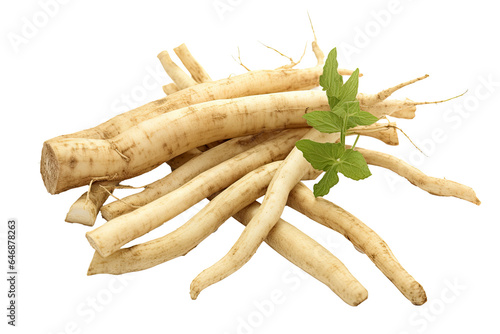 Finger (Boesenbergia rotunda) root rhizome with slices isolated on transparent background, Asian organic Herb and spice concept, Natural organic healthy plant. photo