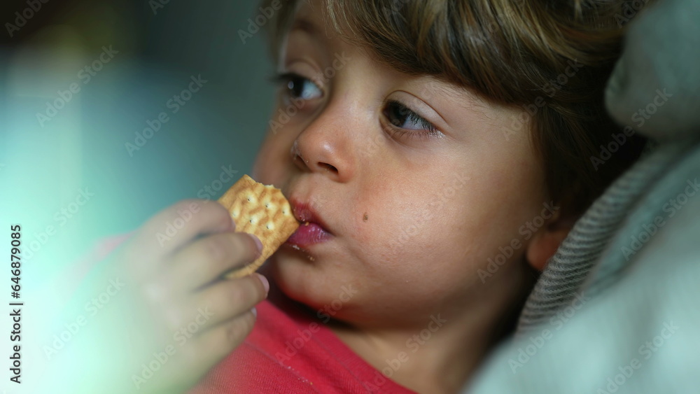 Child's Delight - Close-Up Expression of Boy as He Enjoys a Cookie Snack Child's Delight - Close-Up Expression of Boy as He Enjoys a Cookie Snack