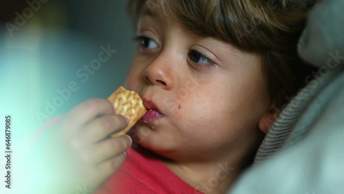 Child's Delight - Close-Up Expression of Boy as He Enjoys a Cookie Snack