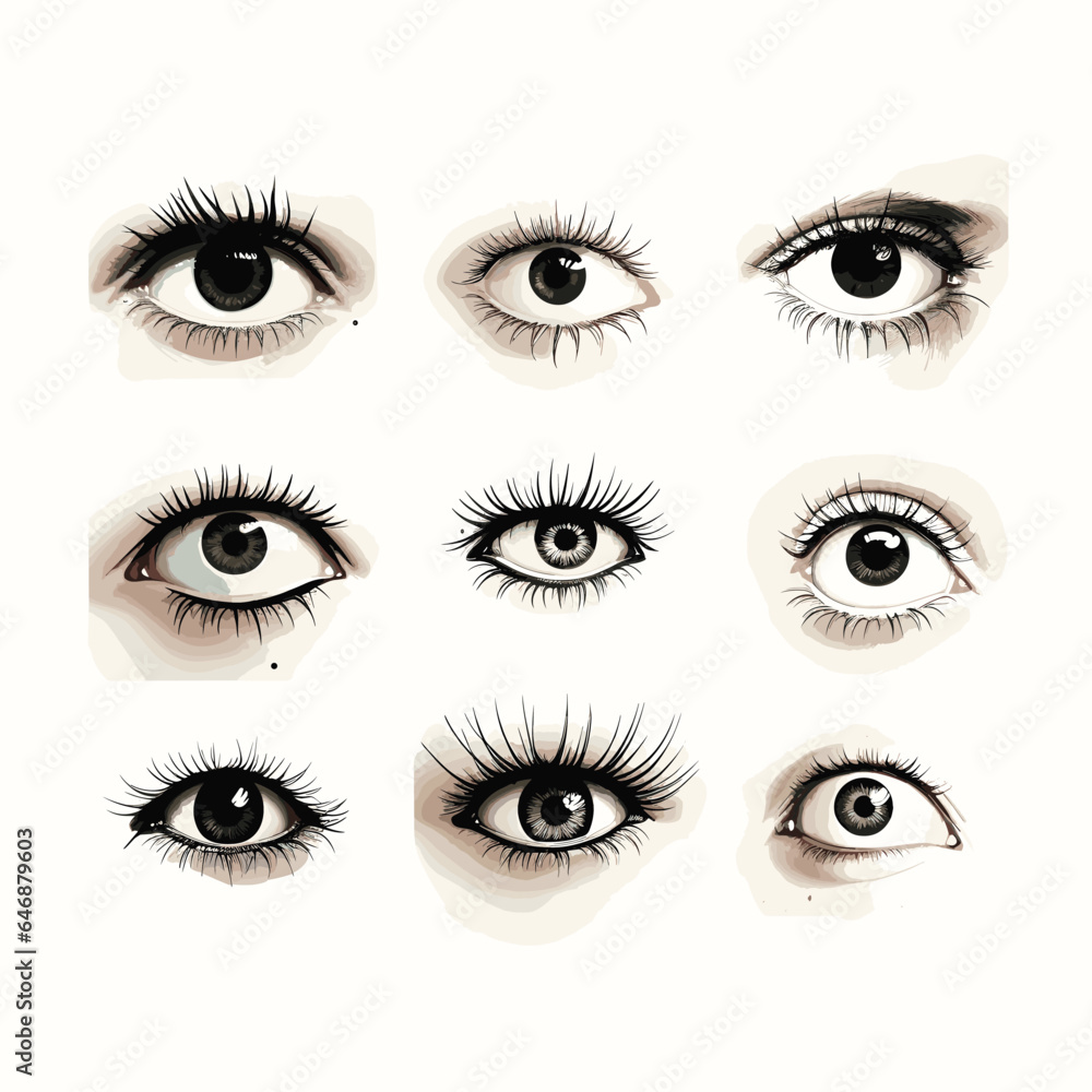 Eyes and eyebrows set illustration
