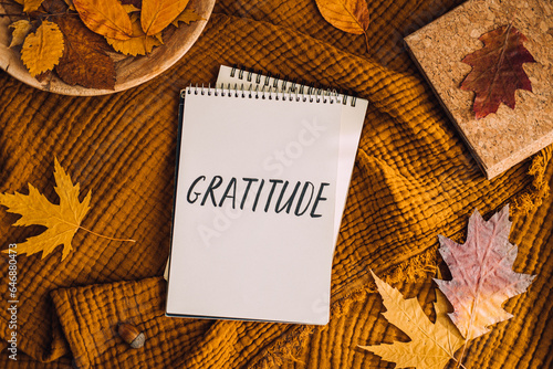 Картината върху платно How to Practice Gratitude