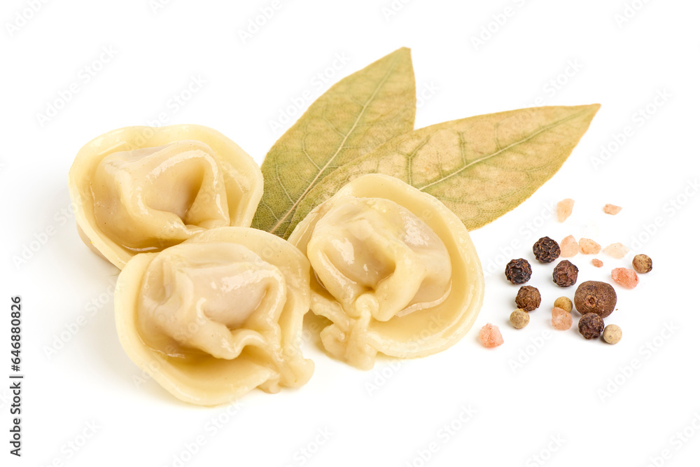 Dumplings filled with meat, isolated on white background. Dumplings filled with meat, isolated on white background.