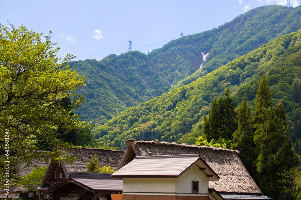 Historical Japanese Village Gokayama in Toyama, Japan