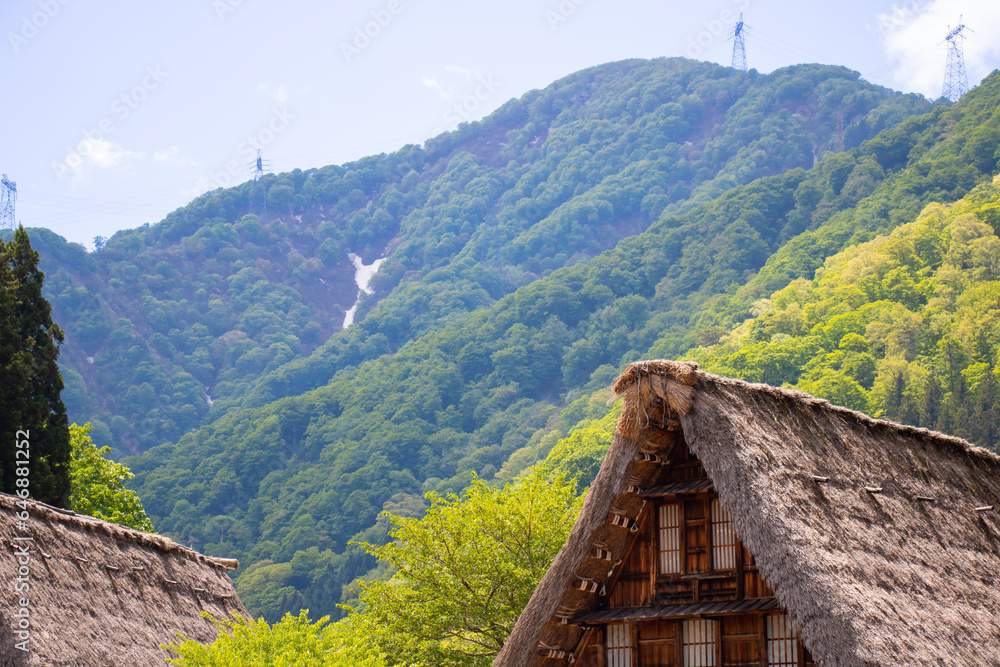Historical Japanese Village Gokayama in Toyama, Japan Historical Japanese Village Gokayama in Toyama, Japan