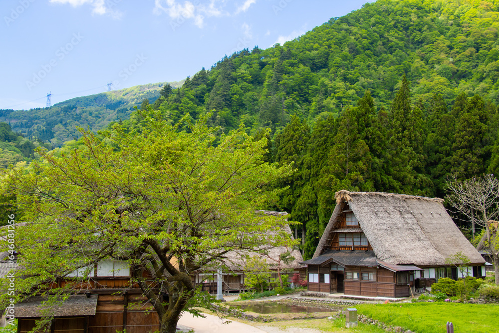 Historical Japanese Village Gokayama in Toyama, Japan