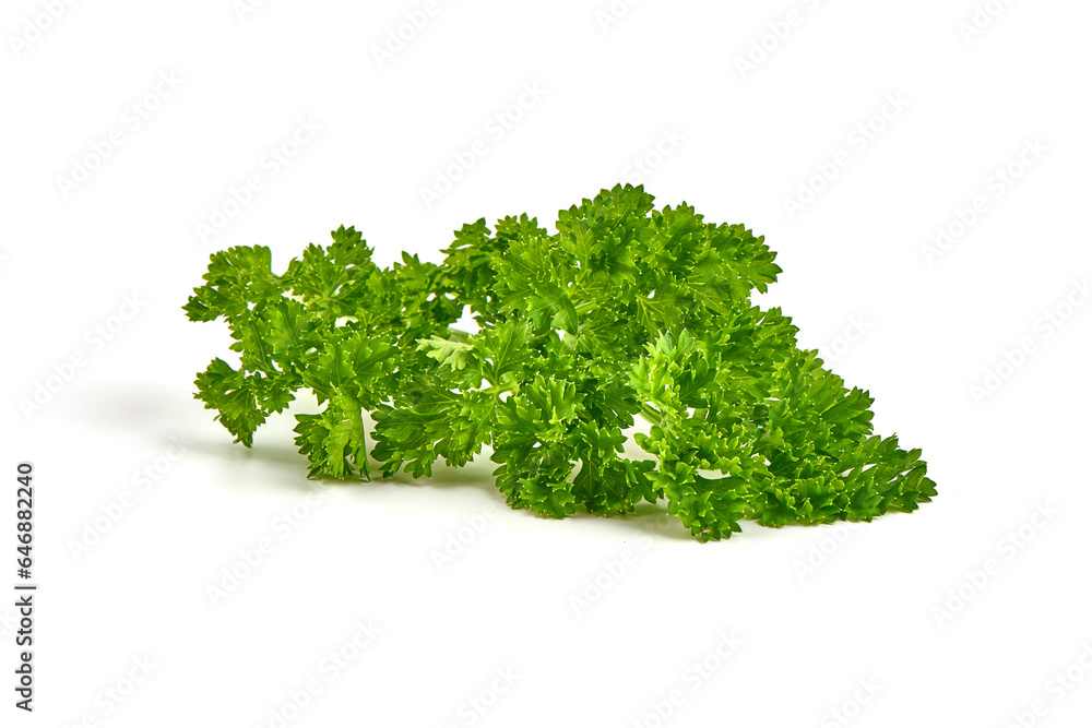 Fresh organic parsley, isolated on a white background. Fresh organic parsley, isolated on a white background.