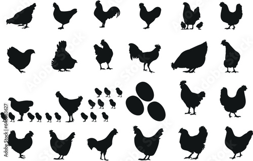 chicken silhouette, egg silhouette, vector illustration, colorful, cheerful, fun, breed, size, variety, design project, animal, farm, agriculture, food, poultry, hatching, hatching eggs, baby chicks, 
