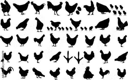 chickens in various poses and sizes, with some standing, some pecking at the ground, and some in mid flight. perfect for farmhouse decor to add a touch of rustic charm to their living space.