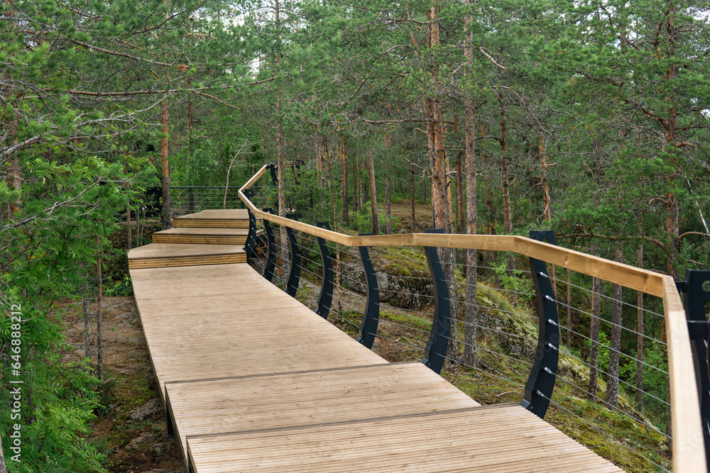 Fototapeta premium wooden walkways on the tourist route in the nature park