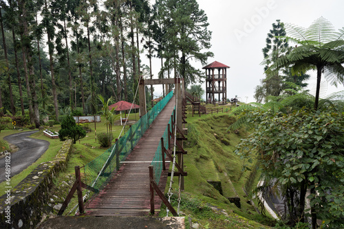 Wallpaper Mural Bukit Larut is one of tourist attraction in Taiping can be reached by 4x4 ride with serene foggy environment wather - Formerly known as Maxwell Hill founded in 1884, 1250m above sea level. Torontodigital.ca