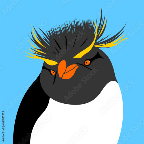 Illustration southern rockhopper penguin Eudyptes chrysocome
