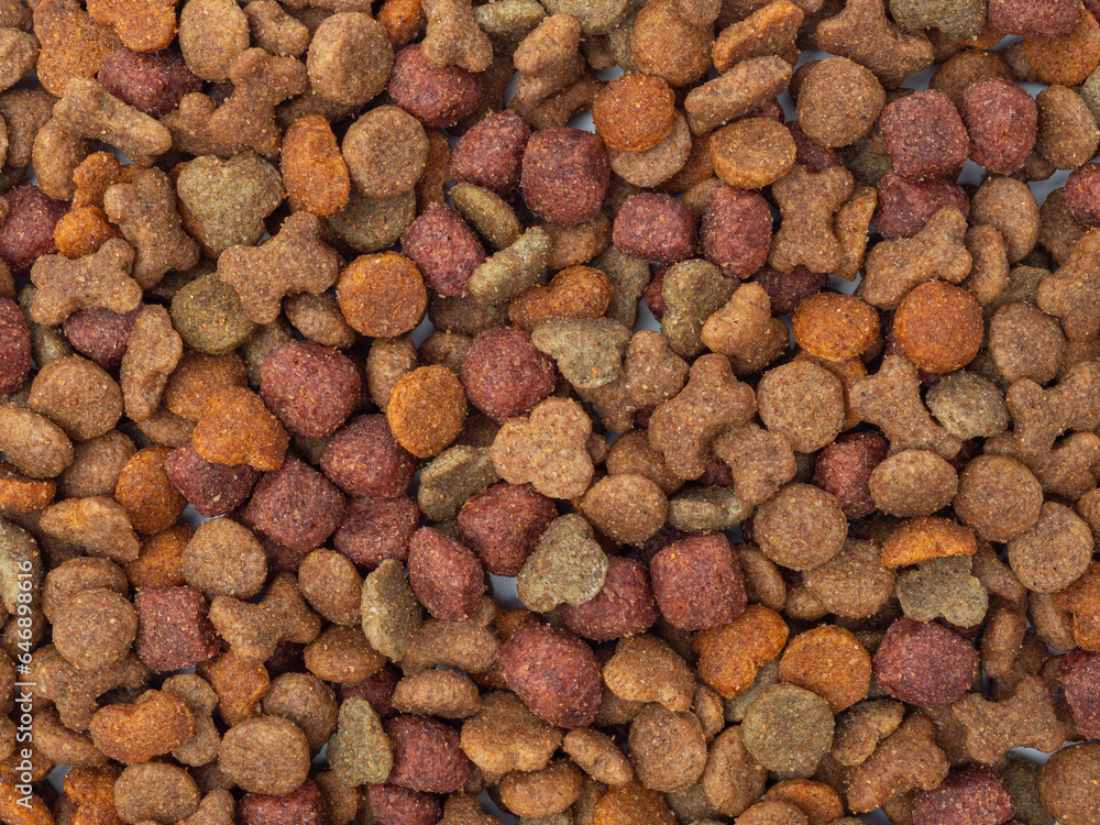 Dog food on a white background. Treats for dogs. Dog food on a white background. Treats for dogs.