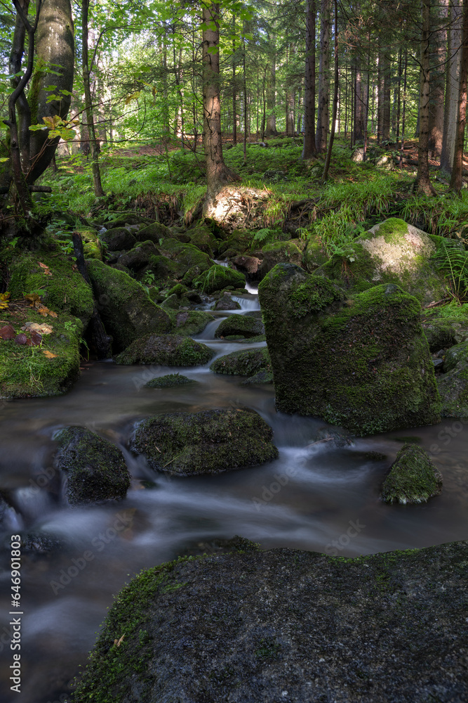 Water flowing between stones with moss in the forest.