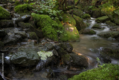 Water flowing between stones with moss in the forest.