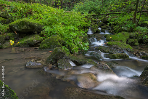 Water flowing between stones with moss in the forest.