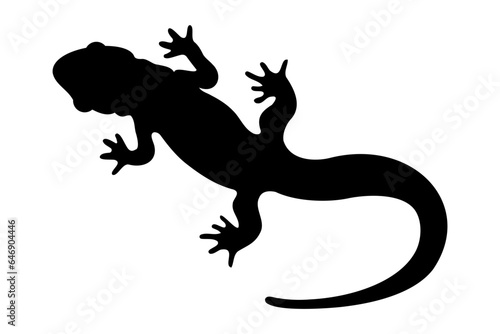 Vászonkép Gecko lizard or salamander silhouette. Vector illustration