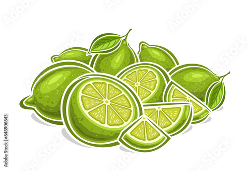 Vector logo for Limes, decorative horizontal poster with cartoon design fruity green lime still life composition, fruit print with many whole and chopped juicy parts of ripe raw limes with leaves