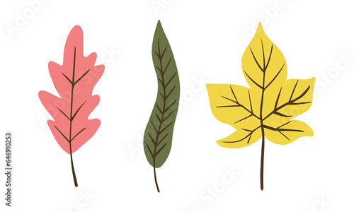 Set of colorful autumn. Isolated on white background. Simple cartoon flat style. vector illustration.