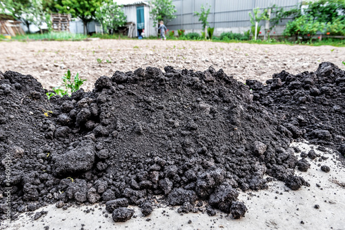 Heap of black soil on the sandy garden photo