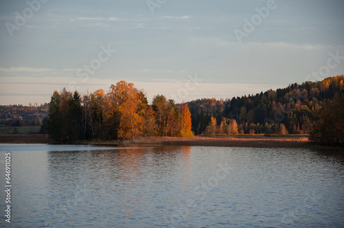 Forest scenery by a lake in Pirkanmaa, Finland with yellow autumn colors