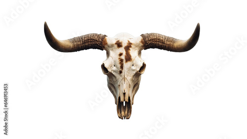 Bull Longhorn Skull with Antlers. Detailed Clipart Design for Rustic Decor Png. 